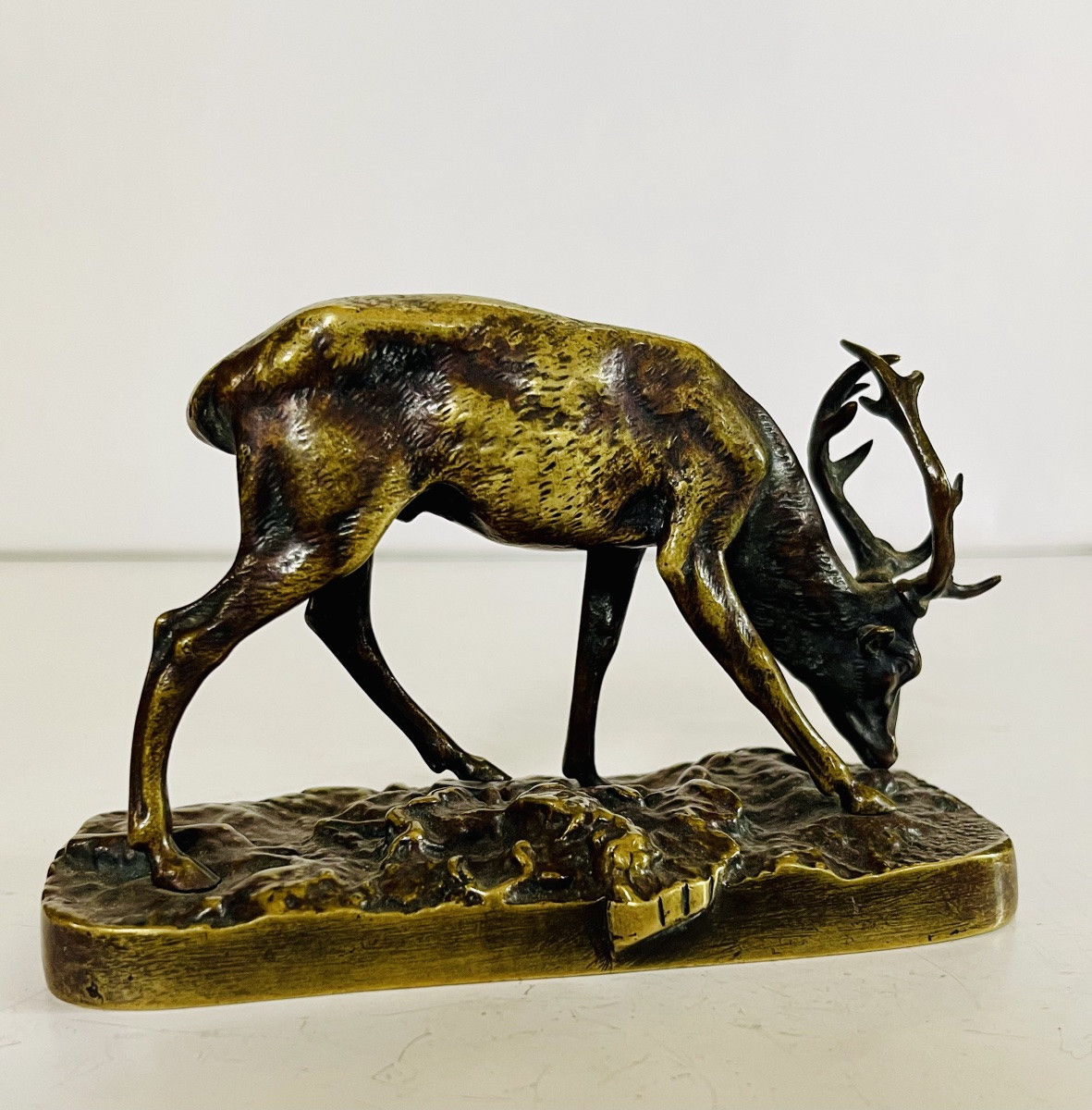 Bronze Stag-photo-2
